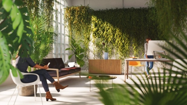 Eco-Friendly Office Oasis: Revolutionizing Workspaces Through Green Design